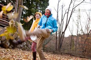 稲沢市で利用できる板金塗装の選定方法
