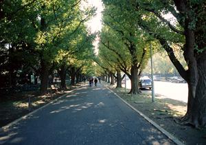 ハイラックスサーフ専門店「WEED」