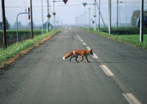 知っておきたい、車検のいろいろな豆知識
