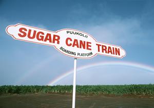 ガラスコーティングで車をピカピカに