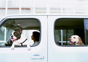 ハイラックスサーフの専門店を利用する