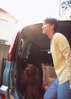 車検は予約さえすれば、あとは車を持ち込むだけ